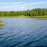 Pruetz *